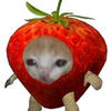 opeshek
