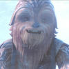 stalker_wookiee1986