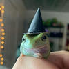 froggy-traveler