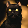 9Salem