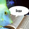 Эльпсай