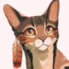 halcyon_cat