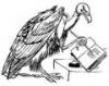 mommy Vulture