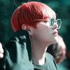 RedFoxLex