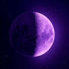 pluvia purpura