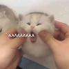 Aishiro