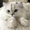Anna_Batarina