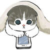 norii_5555